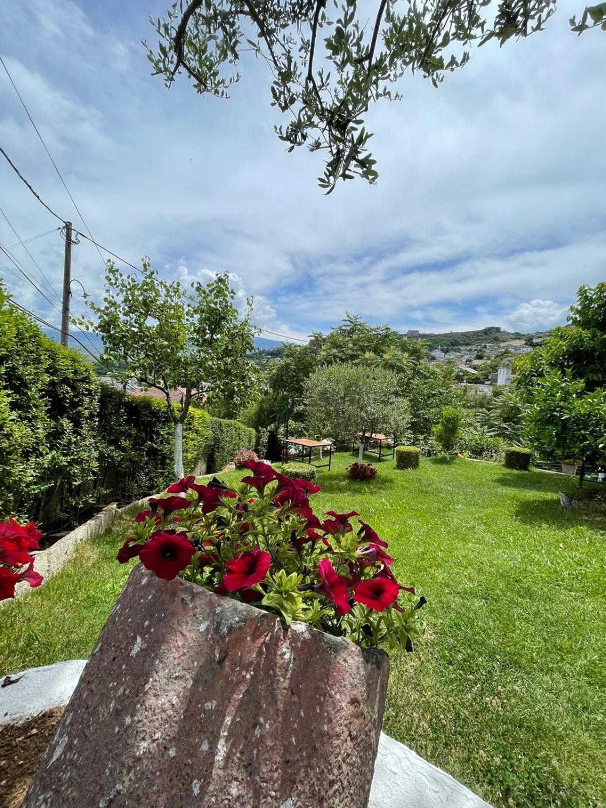 Ilvi Guesthouse Gjirokastra Zewnętrze zdjęcie