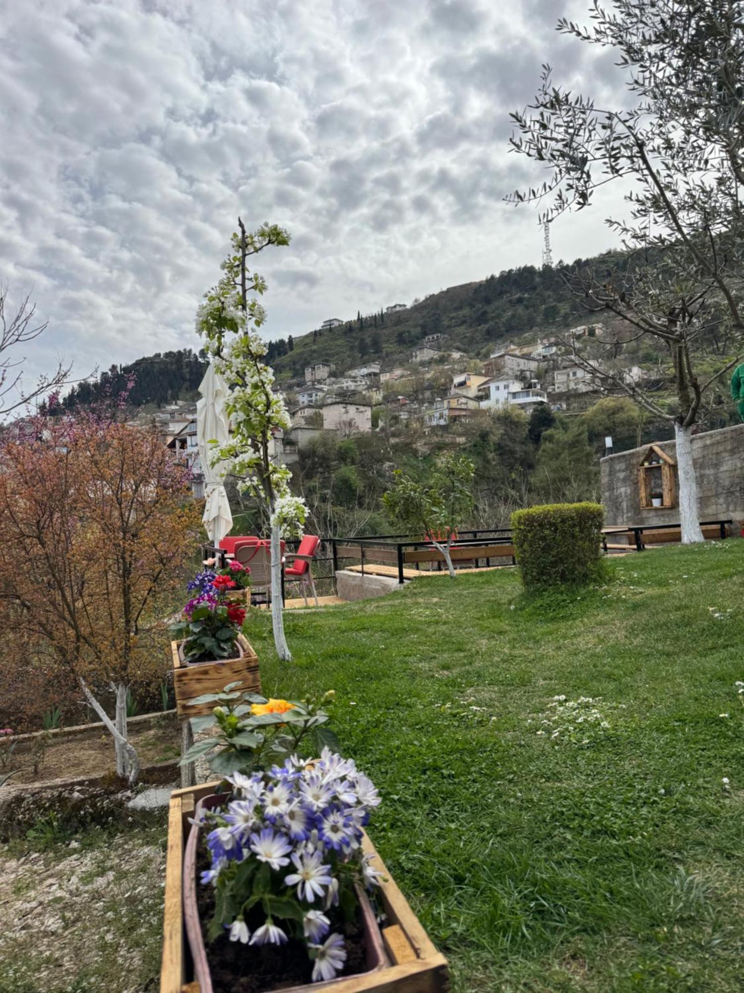 Ilvi Guesthouse Gjirokastra Zewnętrze zdjęcie